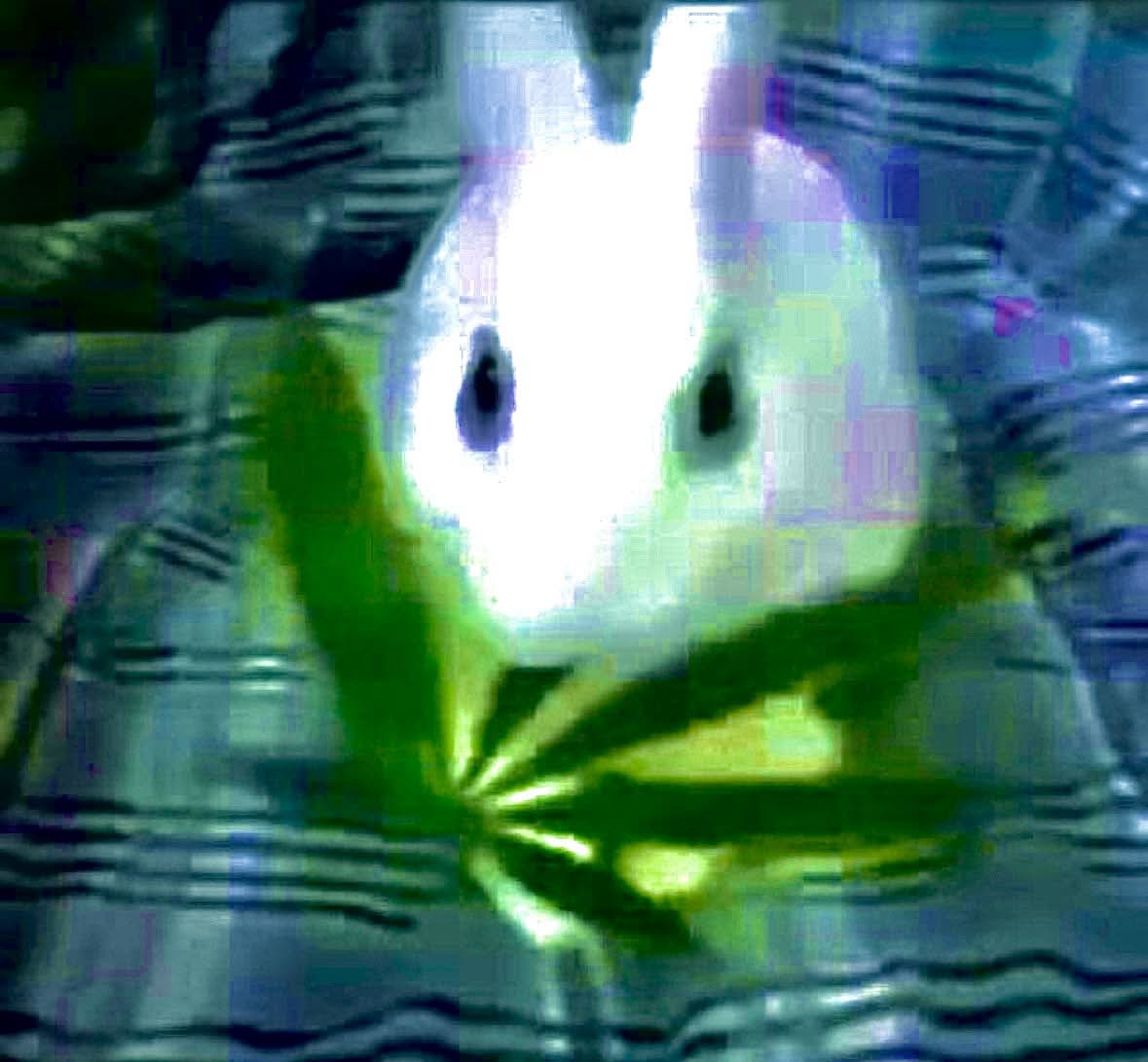 vendetta avatar